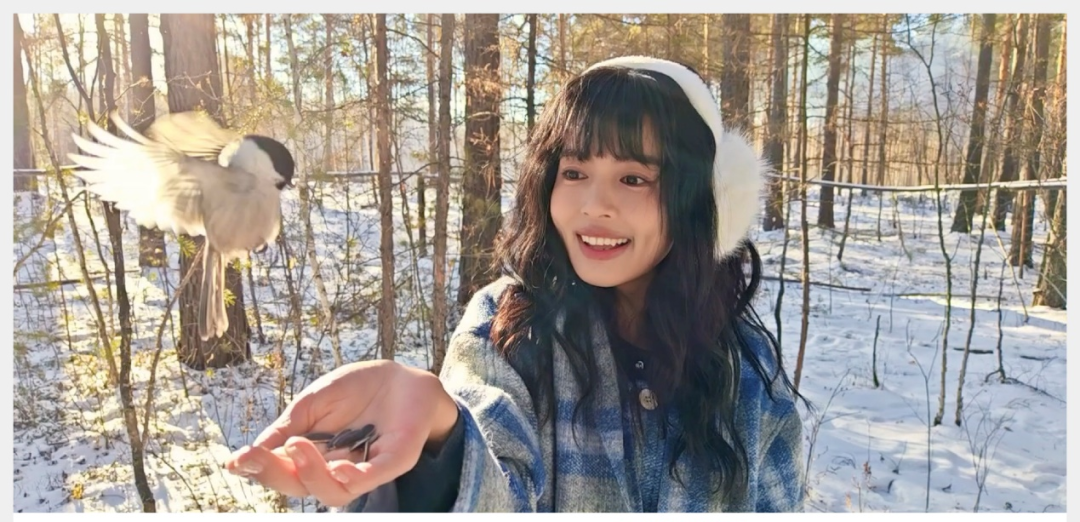 3cc30efd53a54e1ba16ef25d32183acf.png 3cc30efd53a54e1ba16ef25d32183acf.png