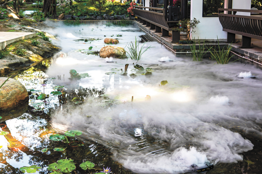 吴子良-WZL04797-FZ102813012474