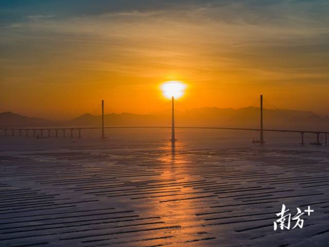 清晨的第一缕阳光从黄茅海大桥上缓缓升起。 清晨的第一缕阳光从黄茅海大桥上缓缓升起。