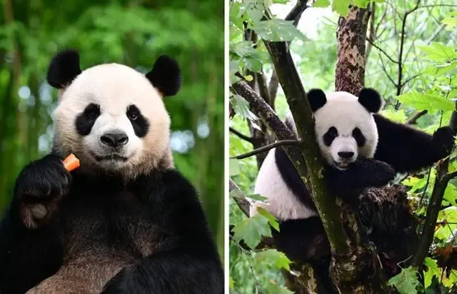 微信图片_20241208232153.png 微信图片_20241208232153.png