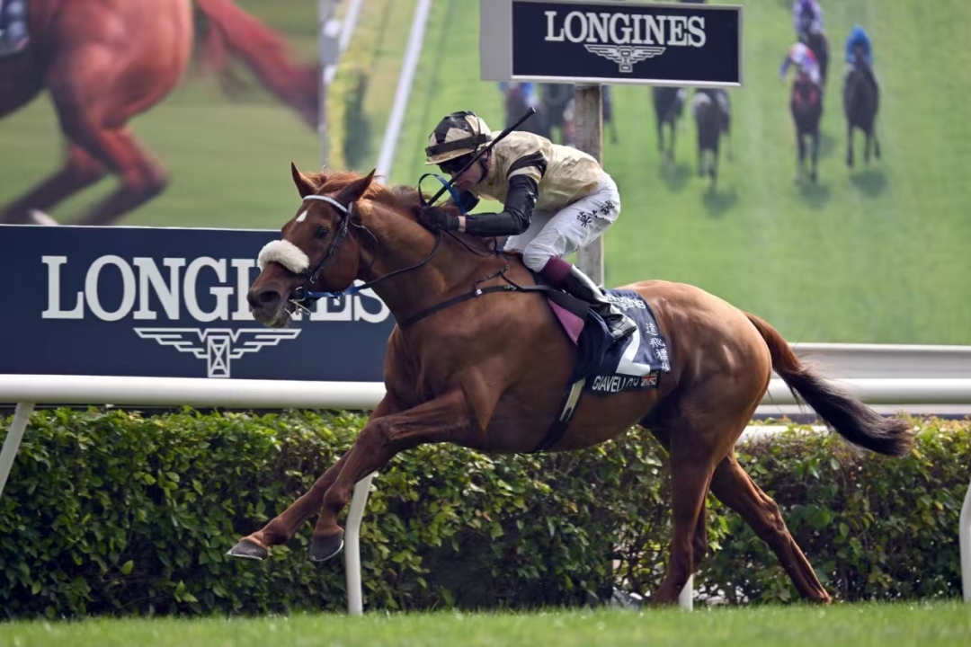 微信图片_20241209095732