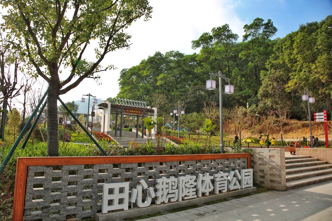 大源街田心鹅隆体育公园。通讯员供图.jpg