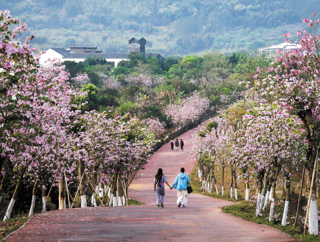 王晨阳-118a7a9555055de0e8a9-FZ102813026213