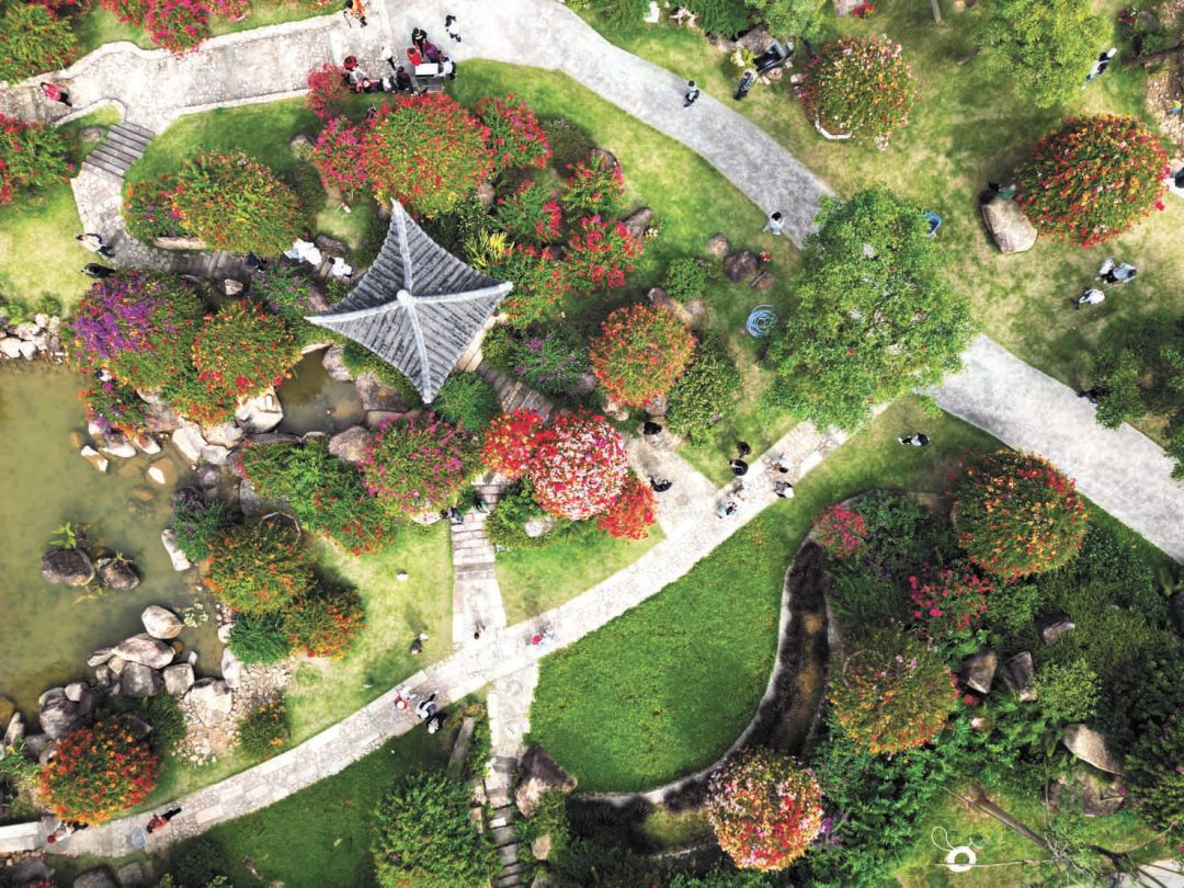 王晨阳-邱伟荣20231216花都马岭观花植物园-FZ102813032203