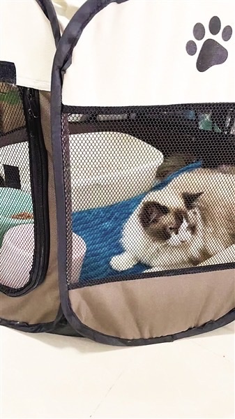 C807855C-CB1A-474F-B703-0A0F7D91D91D_4_5005_c