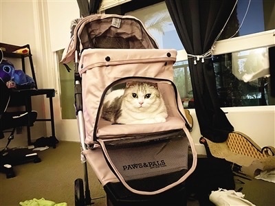 107B47A7-B622-4D0B-88A1-5D3C7C95E9BF_4_5005_c