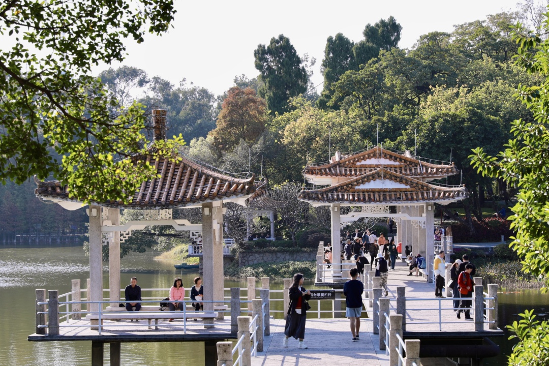 苏俊杰-天气|阳光灿烂 气温回升-NEP1_20241222_C00413109231