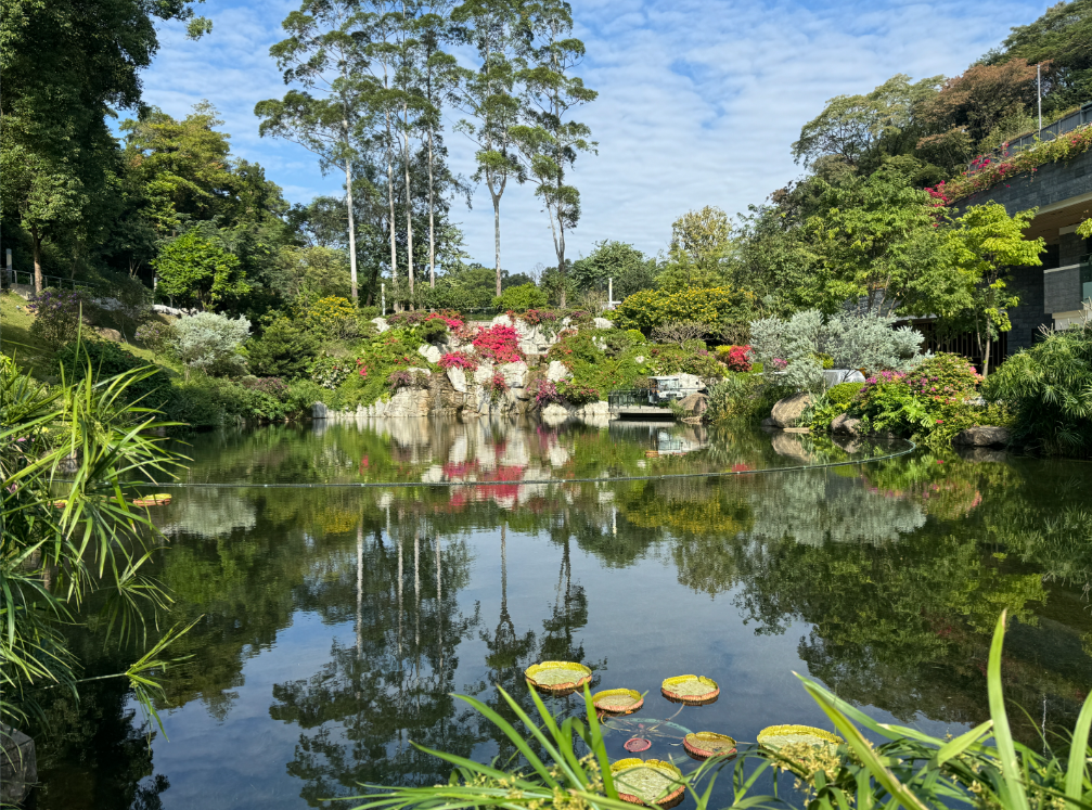 26fe1b74369b7c2bc64fac8be3d5d72.png 26fe1b74369b7c2bc64fac8be3d5d72.png