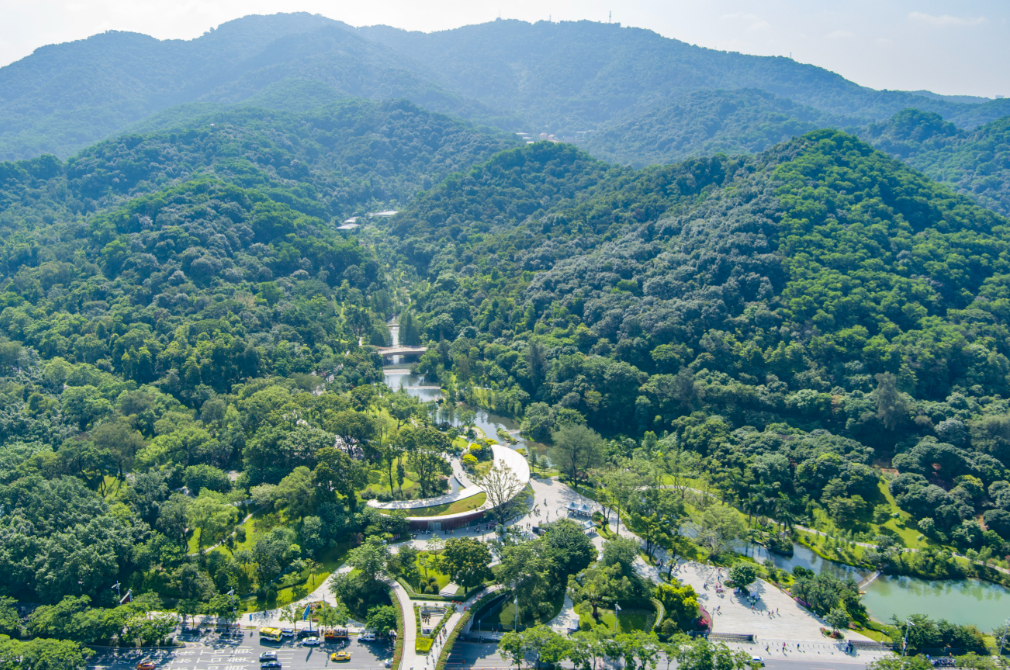 3d38f2e00d179326660fce4f5d15628.png 3d38f2e00d179326660fce4f5d15628.png