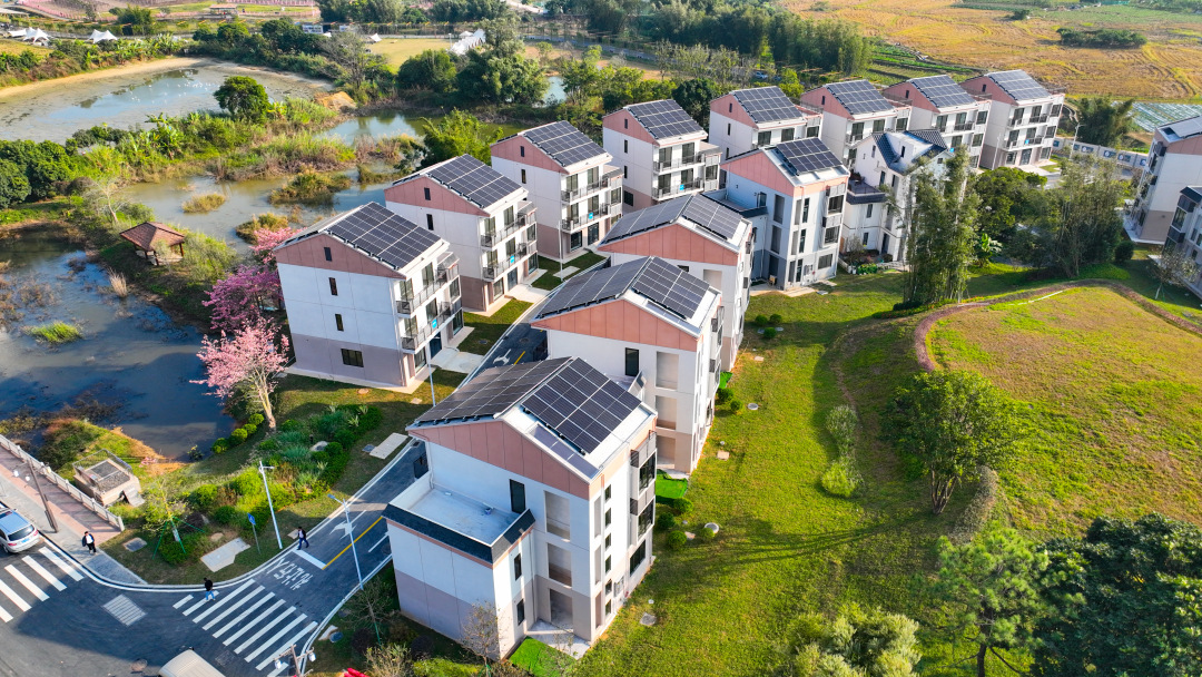 微信图片_20241223150340