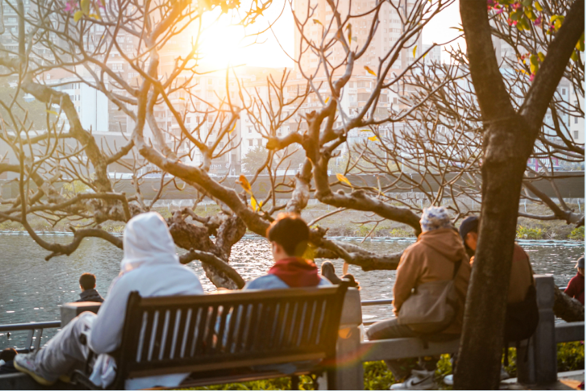 微信图片_20241225112644