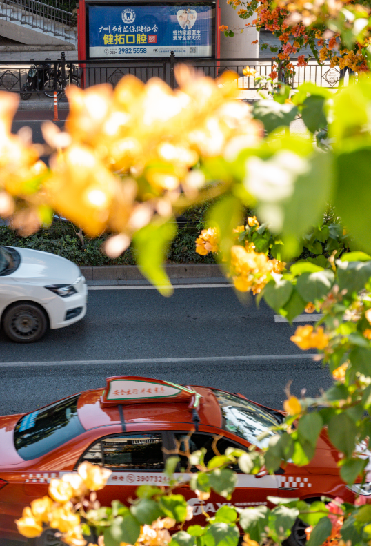 微信图片_20241225112921