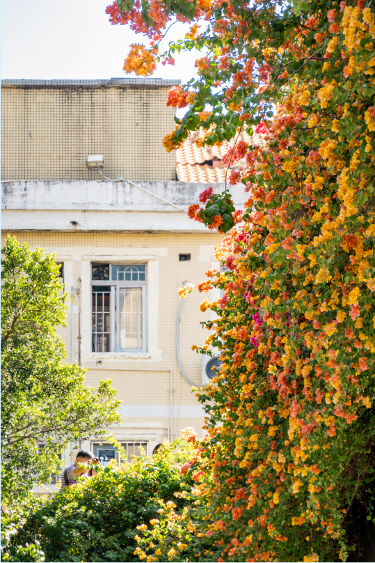 微信图片_20241225112841