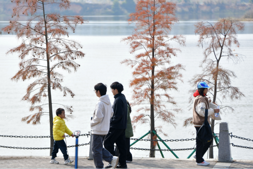 微信图片_20241228153553