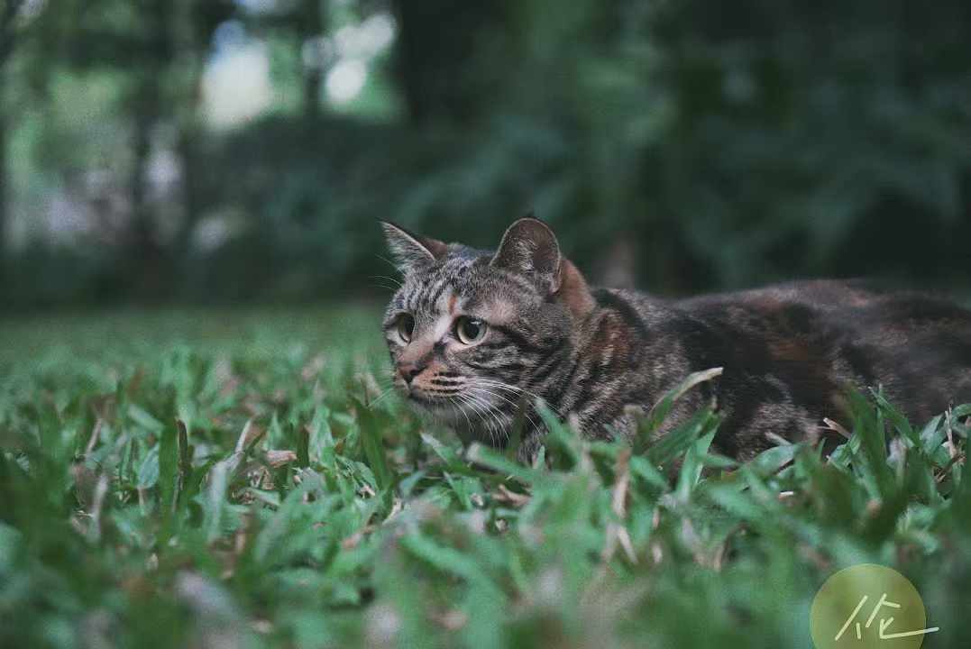 5b0c01762096872650d5412a62cc47