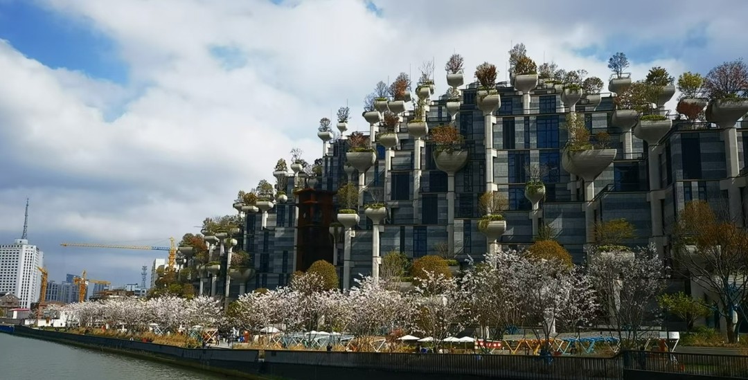 微信图片编辑_20250103100118.jpg 微信图片编辑_20250103100118.jpg