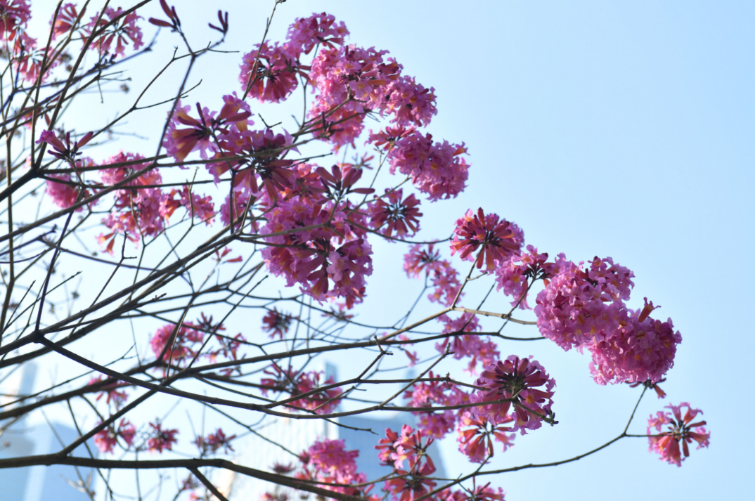 微信图片_20250105173019