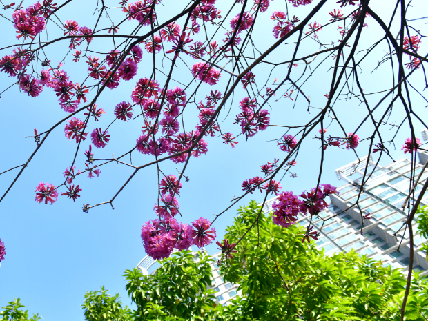 微信图片_20250105173043