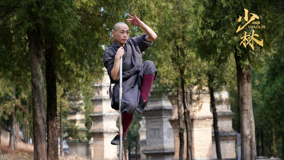The Shaolin Monkey Stick moves mimic the behavior of monkeys.