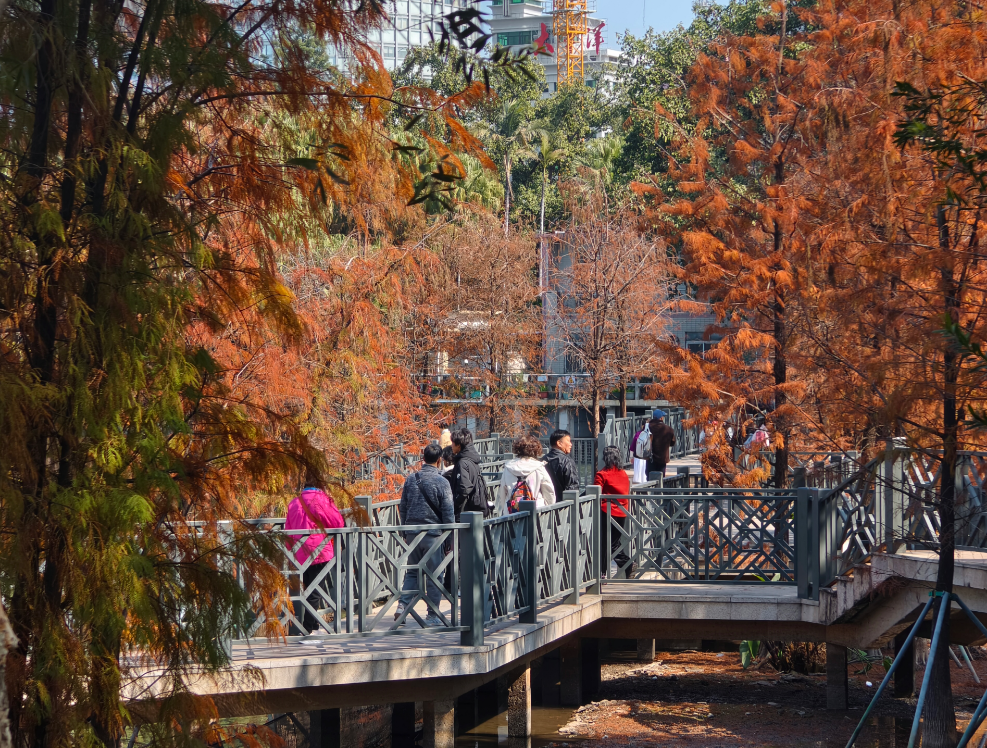 微信图片_20250116141355