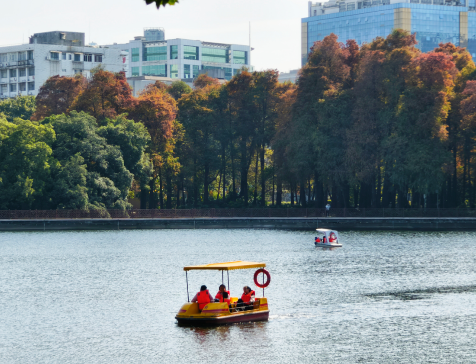 微信图片_20250116141352