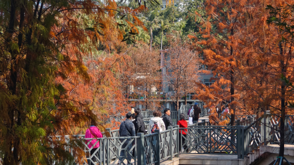 8d97203abfc444e2976b8881adb277db