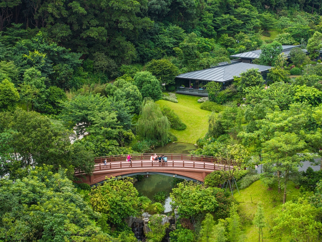 鸟瞰云溪植物园。通讯员供图3