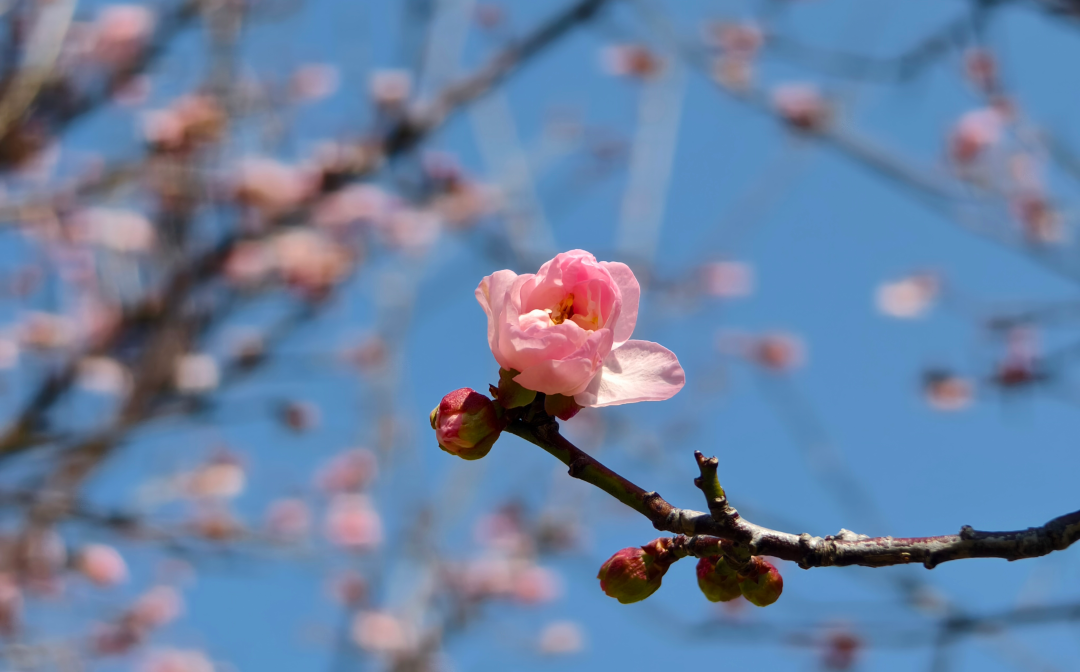 骆昌威-IMG_20250118_132330-FZ100413258996.jpg