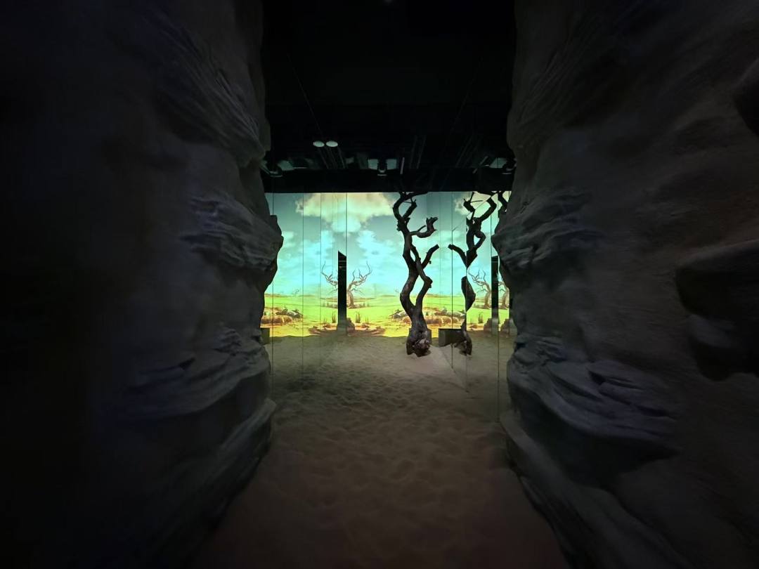 微信图片_20250121235348