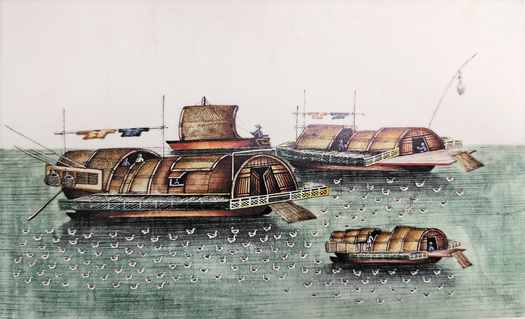 通草画.jpg