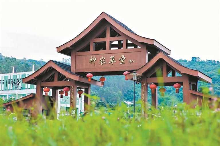 13270763_zhanghl_1737548648796_s