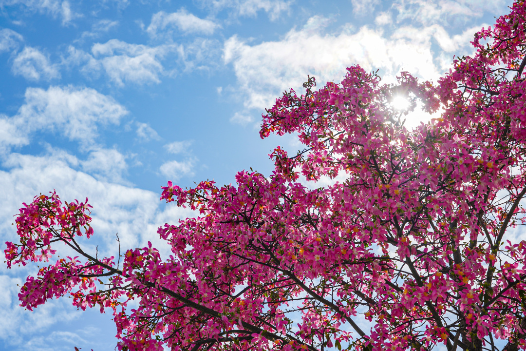 70e15bcf4e6c474d802884223ece067f