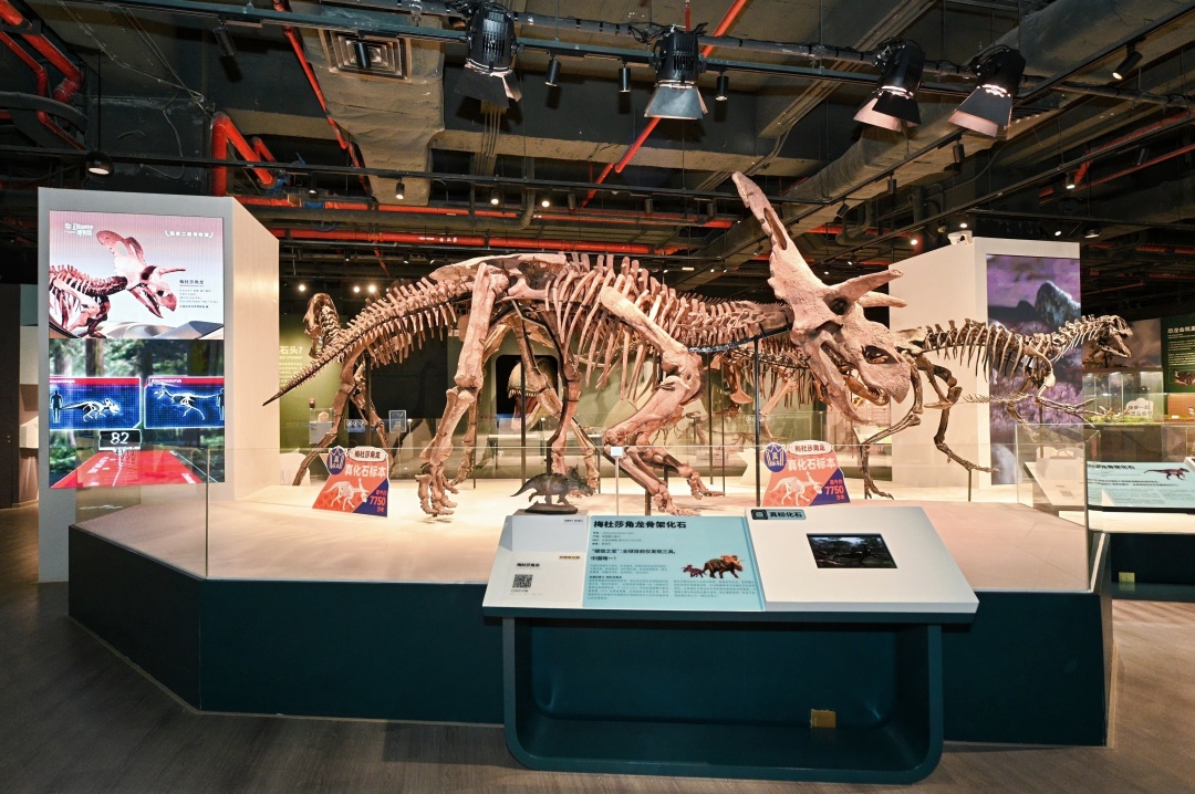 789a559b3cbf135ce0e59e402f0659a0_2(1