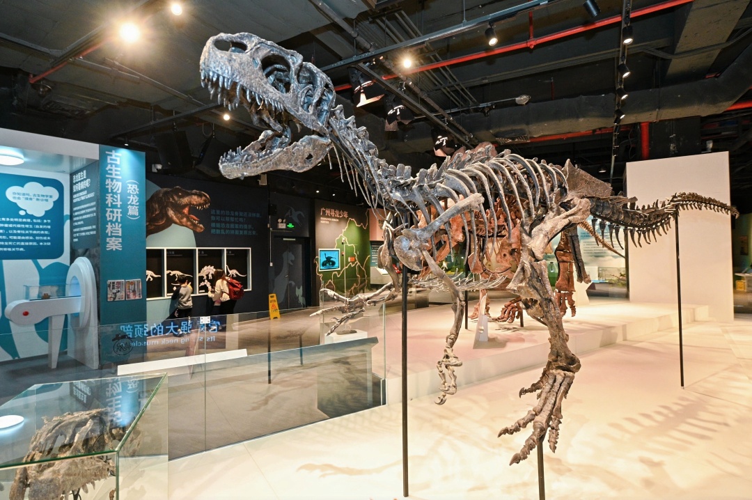 d9e6b2ea911fdedb8e8ff0e421a03c7d_2(1