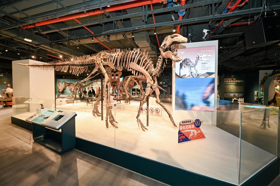 ab8b95c2839724f69009ffa29e8dc499_2(1