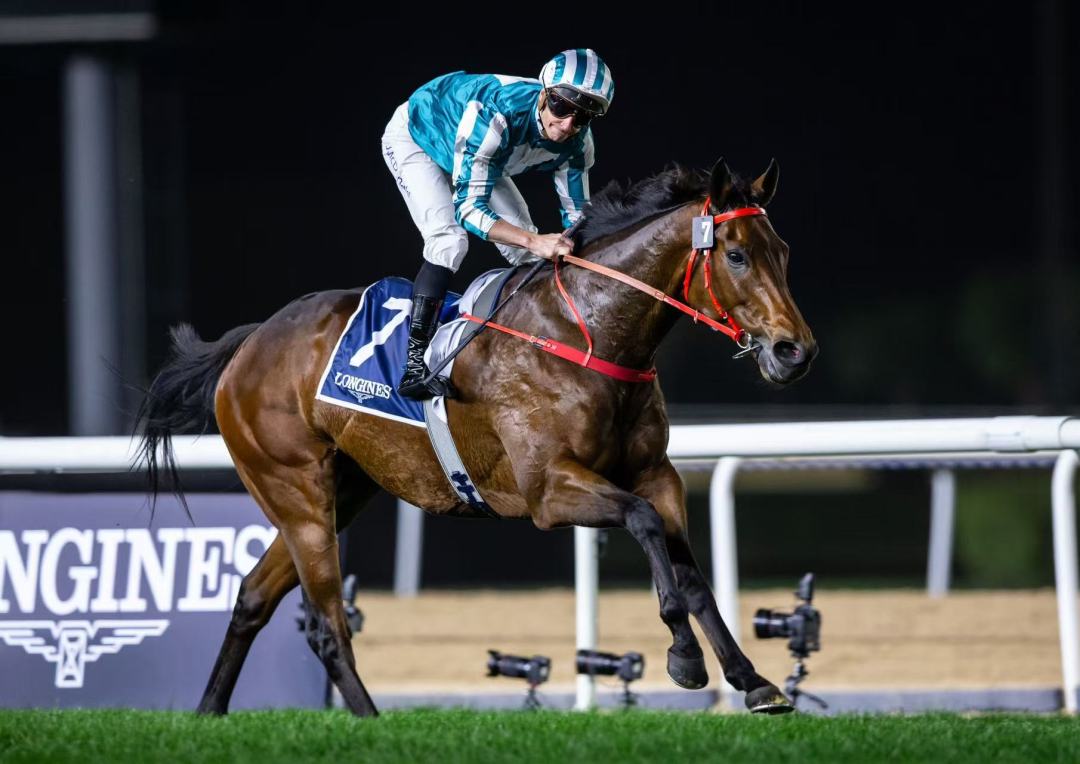 微信图片_20250125200821