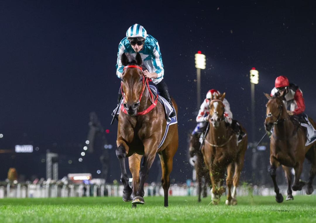 微信图片_20250125200816