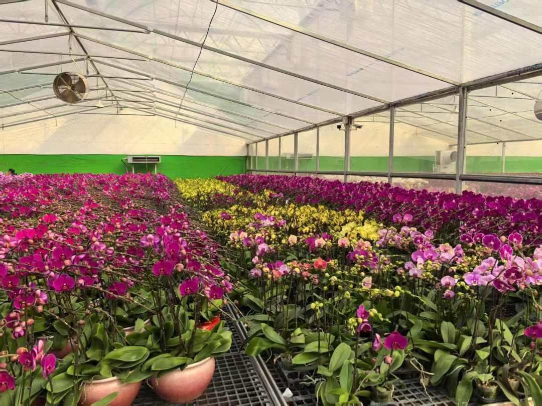 e61b14b22bfa3914bf3c13220a24ca9.jpg e61b14b22bfa3914bf3c13220a24ca9.jpg