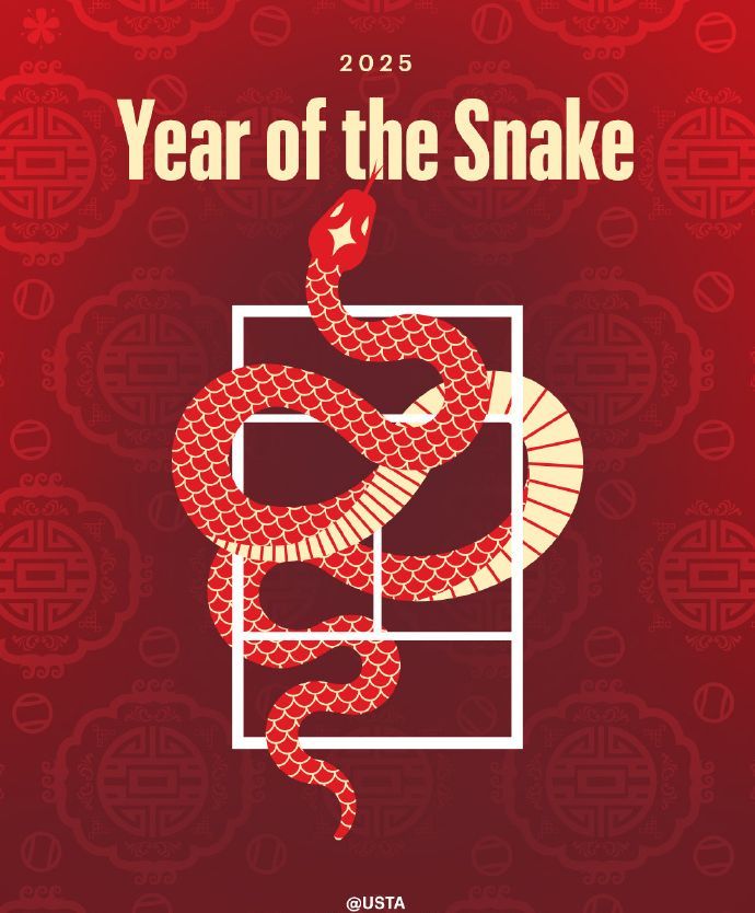 美网春节海报。