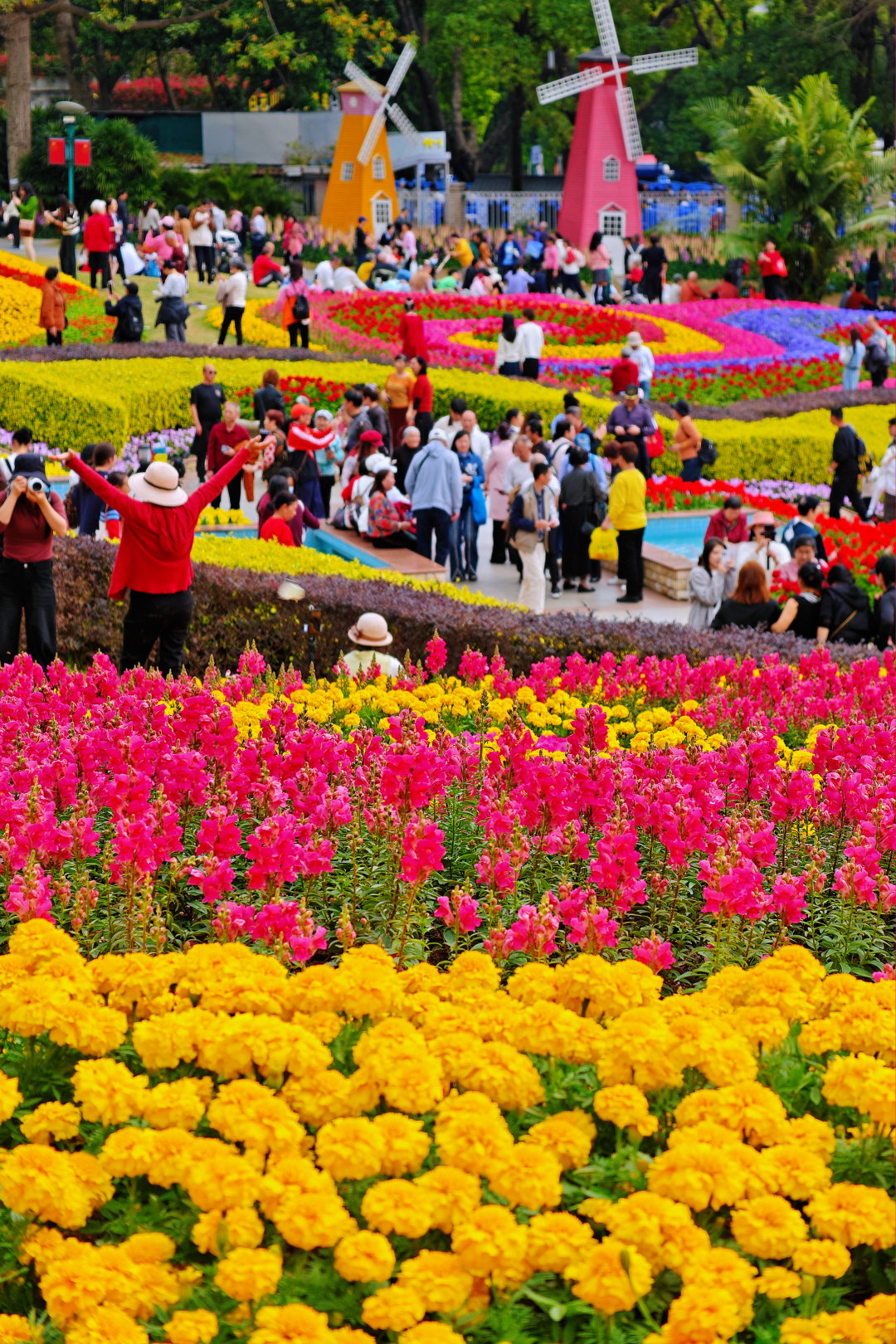 莫伟浓-花海盛宴!云台花园春节假期人气旺-NEP1_20250203_C00413313552