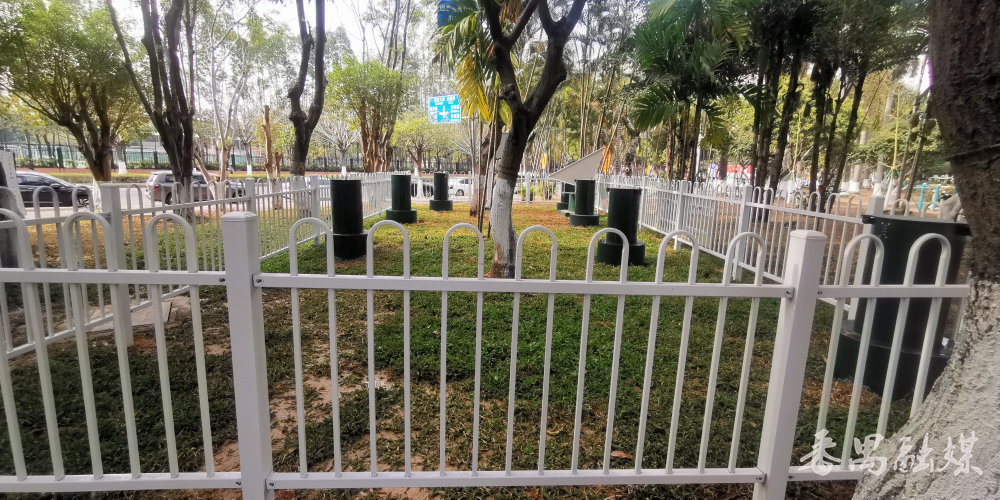 番禺唯一!南区公园地面沉降监测标组建成启用