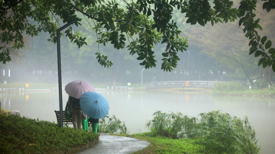 6a3333eee7d94aef97c0b4f530d5c72b