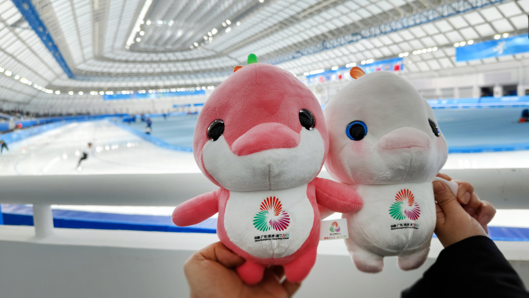 05哈尔滨亚冬会速滑馆-2