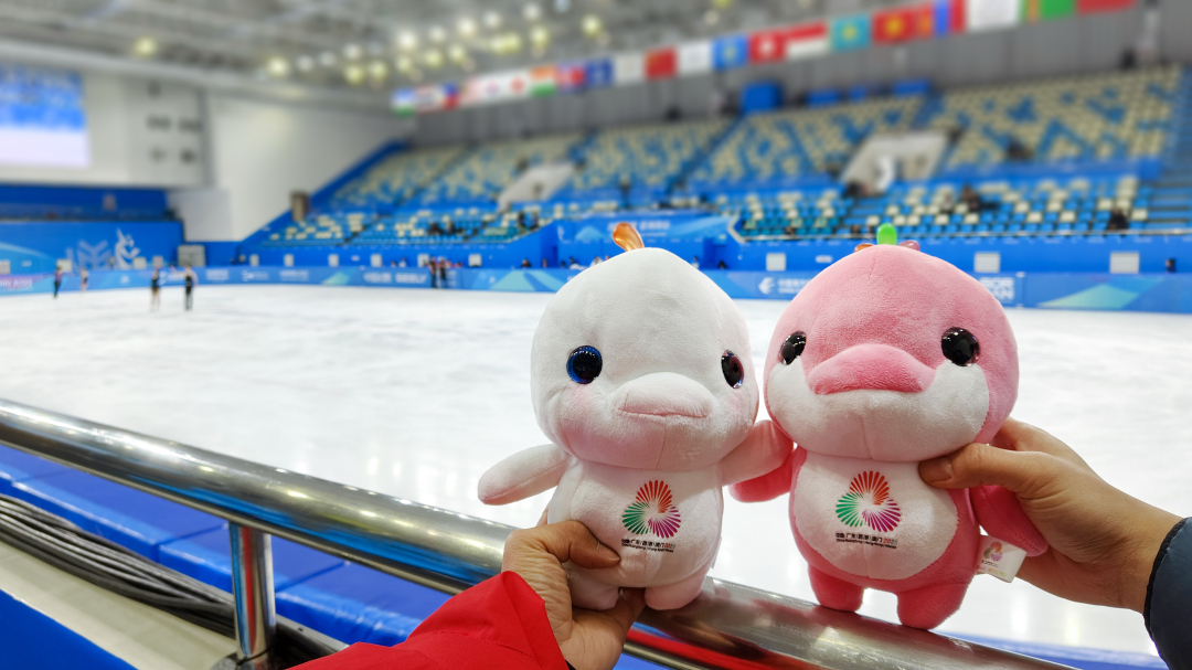 06亚冬会花样滑冰馆-2