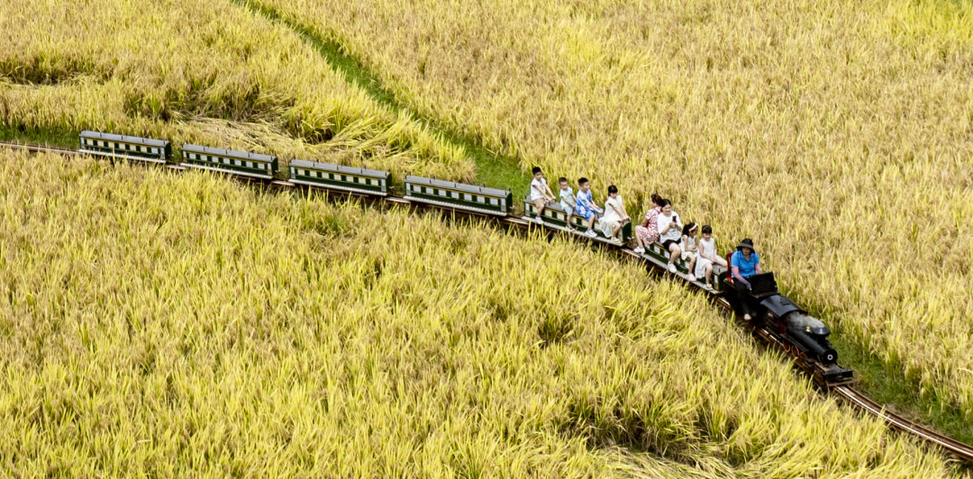 廖雪明-lxm2407301 (6)-NEP1_20241005_C00412720137