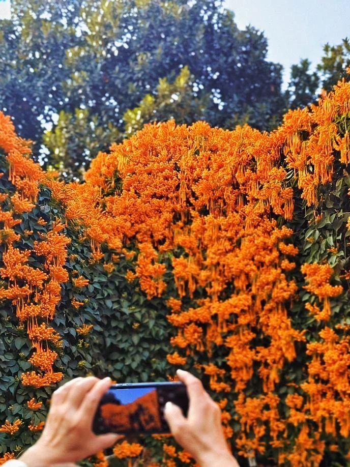 44efb9ab2fe99bd7df0f065766d10662.jpg 44efb9ab2fe99bd7df0f065766d10662.jpg