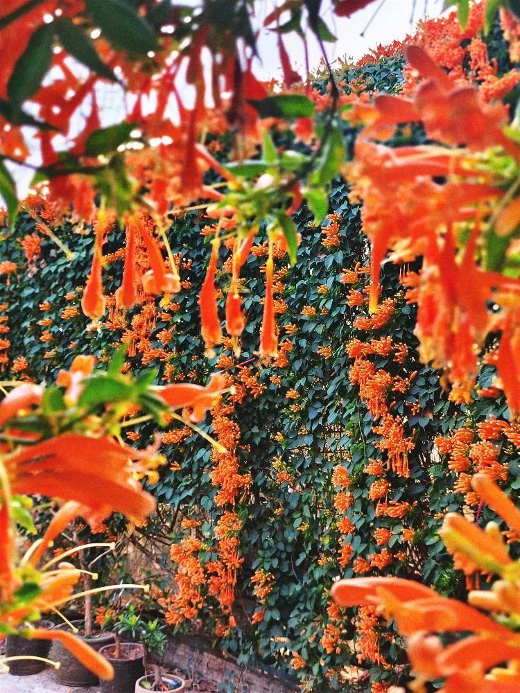 04b0454efdd39c0b423b170a17af560a.jpg 04b0454efdd39c0b423b170a17af560a.jpg