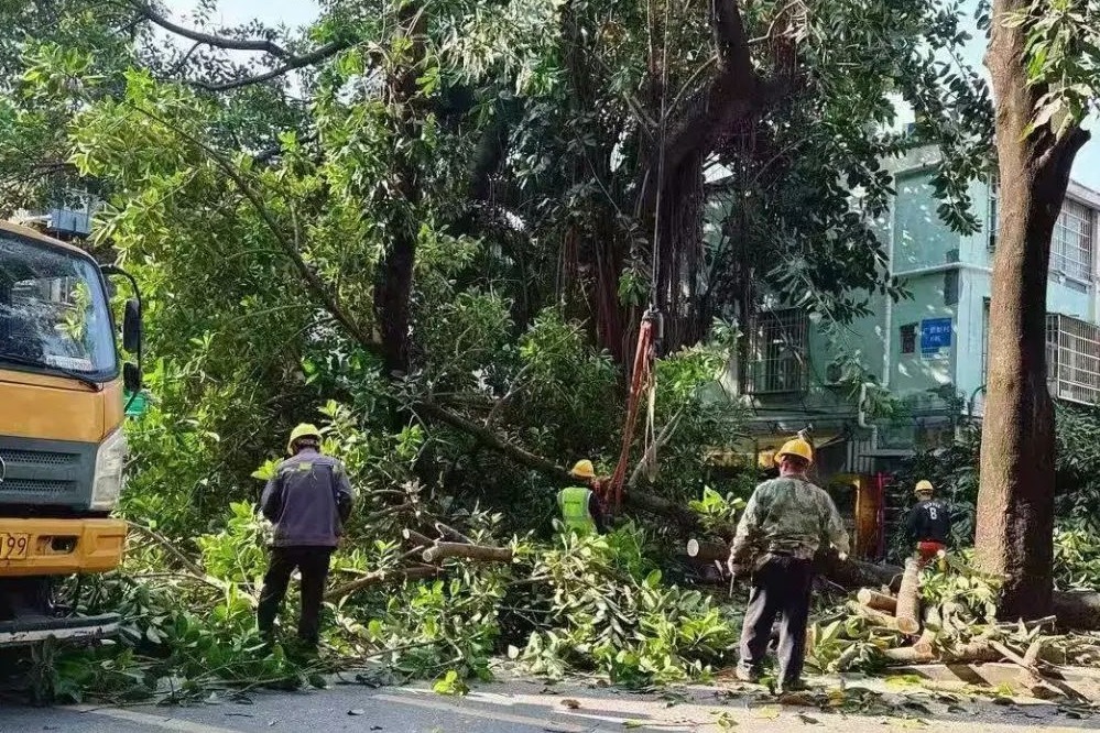 1740050053705085176.jpeg 1740050053705085176.jpeg