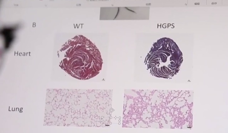 1740224774568094046.jpeg 1740224774568094046.jpeg