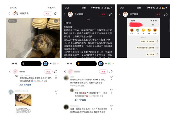 1740487047031058355.jpg 1740487047031058355.jpg